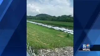 DEP investigates foamy water in Codorus Creek in York County