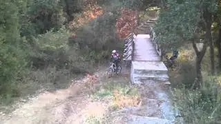 Mtb seminar Seich Sou forest 19111