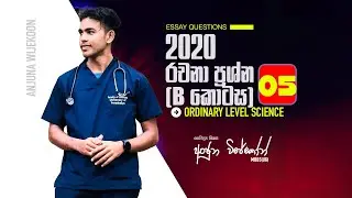 2020 රචනා (B කොටස) ප්‍රශ්න අංක 05