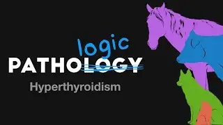 Hyperthyroidism - PathoLogic