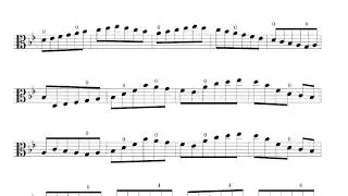 Franz Wohlfahrt - 60 Studies for Violin, Op. 45, No. 5 (Transcribed for Viola)