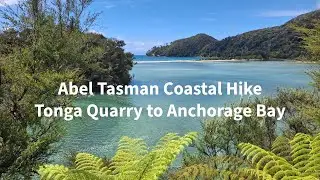 Abel Tasman Hike - Tonga Quarry to Anchorage Bay