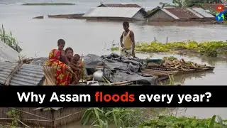 Assam Floods : Why Assam Floods every year? | Eco Alarmist