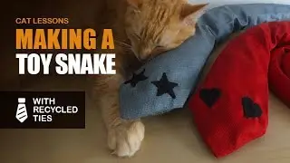 How to Make a Toy Snake for Cats