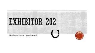 Patternpalooza Class 48 - Exhibitor 202 - Shelby & Sacred Bee Sacred