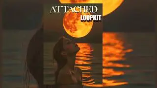 (FREE) - MELODIC DRILL LOOP KIT / AFRO SAMPLE PACK 2026 - 