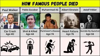 How Famous People Died | Their Age at the Time @DataDynasty24
