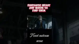 Fantastic beast and where to find them (((  Newt suitcase scene  )))