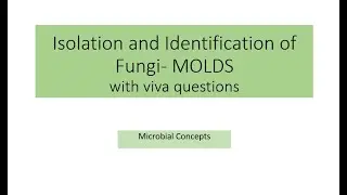 All about Isolation and identification of fungi (Molds) | MSc practical series | Microbiology