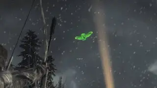 Rise of the Tomb Raider Carrier Bird Location Misguided Intelligence Side Mission