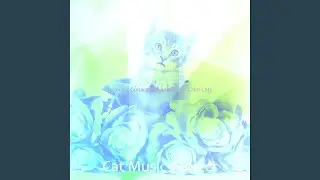 Cultivated Music for Lonely Cats