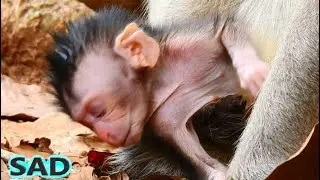 [DEEPLY SAD COS NO MILK] POOR BABY NEWBORN CINN BENT HEAD DOWN WITHOUT MILK AND FEELING DISAPPOINTED