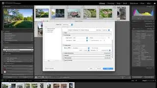 Exporting JPGs from Lightroom