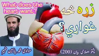 زړه څه غواړي ؟ | دل کی چاہت| مولوی محمد یاسین فهیم bayan (200)