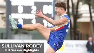 Sullivan Robey - Full Season Highlights
