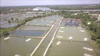 Drone video of a shrimp farming area in Thailand