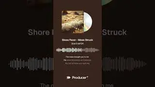 Shore Fever - #short #musicvideo #dedraallenmusic #wisdom #truth #raprock #poprock #pop #vacation
