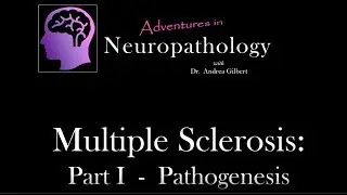 Multiple Sclerosis Part I : Pathogenesis - Adventures in Neuropathology