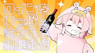【飲酒雑談】日頃のストレスはお酒で流すに限る！【Vtuber/流氷リオネ】