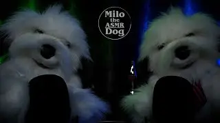 ASMR Twin Mic Scratching and Eating with Gentle Whispers Positive Affirmations