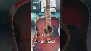 Aria Sound Test Budget Choice #guitar #guitarflipping #sidehustleNZ