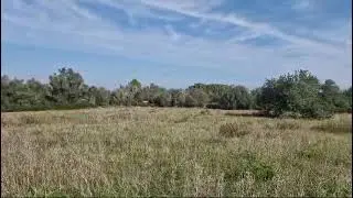 Building plot with Licence in Algaida