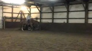 SOLD FOR SALE 2007 APHA overo gelding