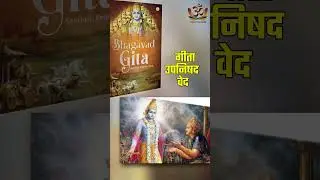 आत्मा क्या है और सनातन धर्म इसे कैसे देखता है? Sanatan Bharat Mahasangh