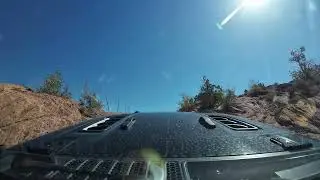 Fins  &ldquo;n&rdquo; Things