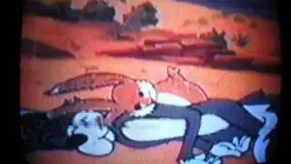 Coyote and skunk