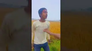 imo comedy 2021, imo comedy 2020, imo comedy 2023, #comedy #funny