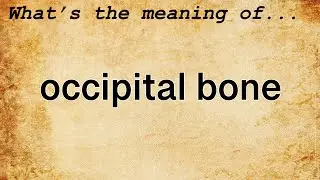 Occipital Bone Meaning : Definition of Occipital Bone