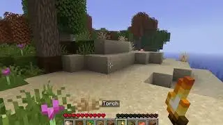 Minecraft, but different || Raspberry Flavoured modpack || Part one