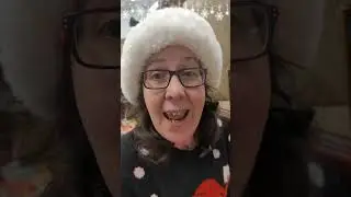 12 Days of Christmas at the Auction