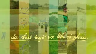 VTDN - đời thật tuyệt vời khi c&oacute; nhau (11 &middot; album 