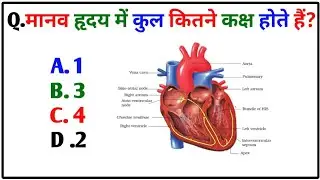 मानव हृदय में कुल कितने कक्ष होते हैं? | Human Heart Chambers | Biology GK Hindi