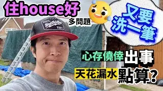 英國住house的確好...多問題🙃 輪到我哋要洗一筆｜其實有人提過我哋，心存僥倖就出事🙄 Flat Roof漏水要點搞？  #BNO #移民英國
