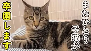 【ありがとう】甘えん坊でやんちゃなさつまが卒園しました