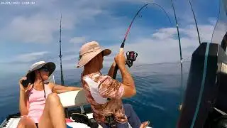 Taking my wife to catch triggerfish and grouper offshore in Panama City on 4-7-23, part 1,