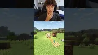Wusstet ihr das Letzte? #platinumdot #minecraft #fakten