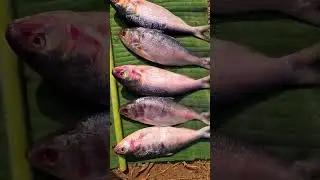 Fish Fry Recipe in 4 minutes😍 |Barakah Kitchen| #fishfry