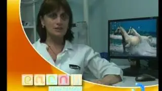 Ajara TV (Black Sea Sat) - Georgia
