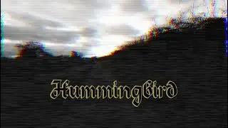 Robert J Mack - Hummingbird (Official Video)