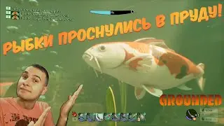 🔥ОБНОВЛЕНИЕ 0.4.0 В GROUNDED!🔥 ПЛАВАЕМ И ИЗУЧАЕМ!🔥