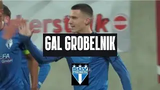 Gal GROBELNIK | SGV Freiberg | Striker | 25/26 First Leg | Highlights | Goals & Assists