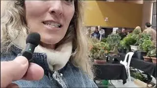 @bonsais en Alcalá de Guadaira 1^ parte .bonsaiaficionado únete al canal 🌳🌳🔔🔔👍