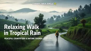 Calming ASMR Rain Walk – Real Jungle Sounds, No Music #ASMRCalm #NatureSounds #RelaxingRain