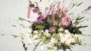 Encore Azalea Color Pairings
