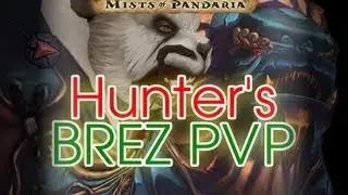 Level 90 Hunter PVP - Hunter BREZ X5 = OP - World of Warcraft: Mists of Pandaria Patch 5.1