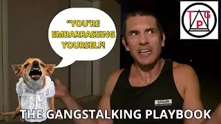 BASELESS ACCUSATIONS (with examples)